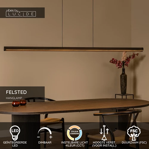 Lucide FELSTED - Hanglamp - LED Dimb. - CCT - 1x28W 2200K/4000K - Zwart | Vibes - USP